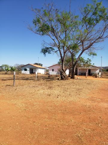 Fazenda de 510ha em Buritis MG - Foto 17