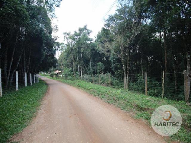 Terreno à venda em Piraquara, Piraquara cod:9739 - Foto 2