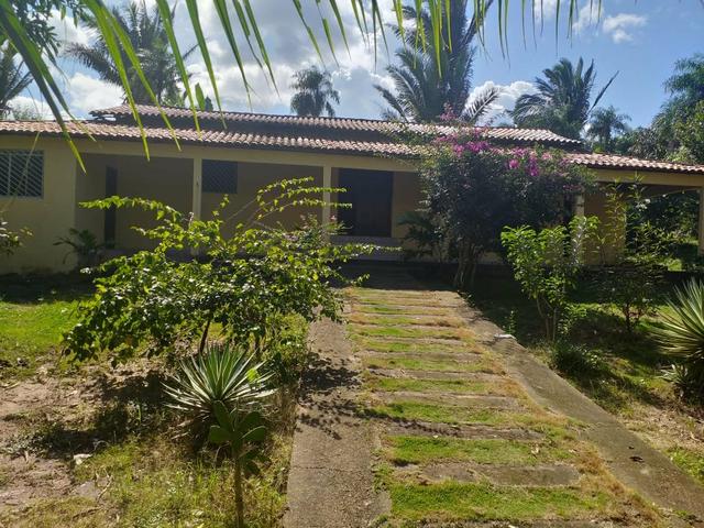 Vende-se sítio no cajupari próximo a expoema - Foto 4