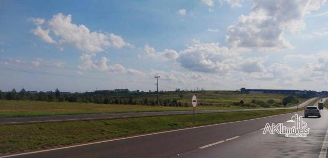 8046 | chácara para alugar com 1 quartos em industrial , nova esperança - Foto 4