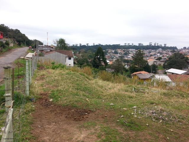 Terreno à venda em Centro, Campo largo cod:TE00004 - Foto 2