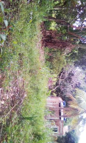 Terrenos em abreu e lima sitio jaguaribe - Foto 4