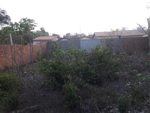 Terreno para alugar