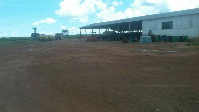 Fazenda de 16.250 Alqueires Paulista, Na Região de Confresa MT - Foto 14