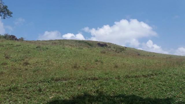 Gravatá=Vend. 300 mil- 24 Hect. Água,Energia,Pastos e muito mais - Foto 16
