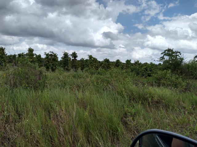 No Pará,175 hectares ha região de Castanhal-Pará por 1.400.000,00 documentada - Foto 12