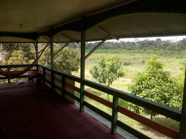 Vendo uma colônia com 100 Hectares de terra - Foto 3
