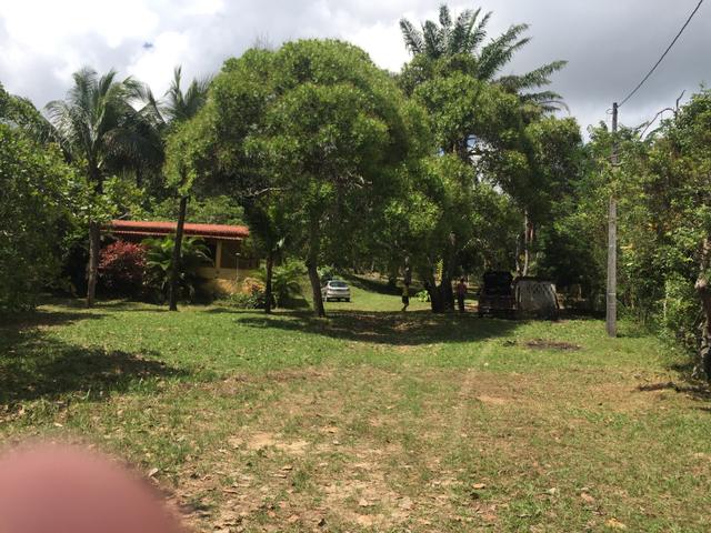 Vendo sítio pojuca ( pode financiar!) - Foto 4