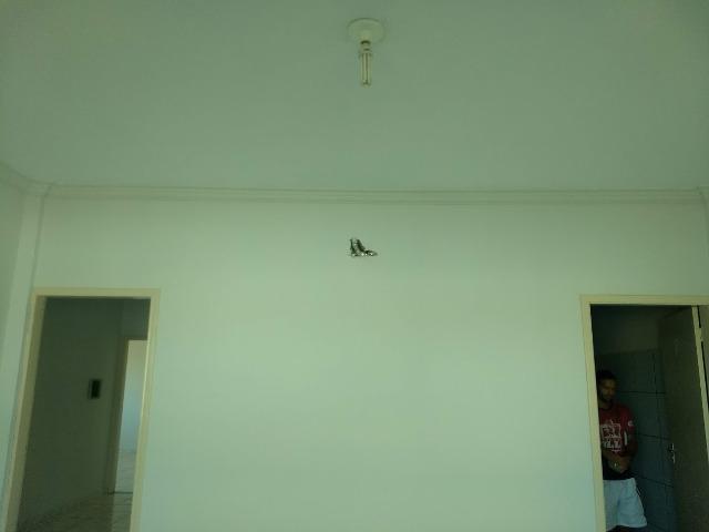 Apartamentos 03 e 02 quartos, com suite, linda área de lazer, na Av. Seringueir - Foto 5