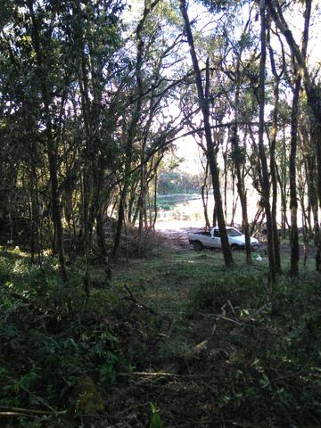 Chacara - Foto 6