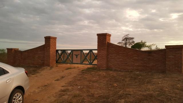 Cumaru=Vend. 15 mil p-Hect. Fazenda =Casa,Energia,Água,Piscina e muito mais - Foto 13