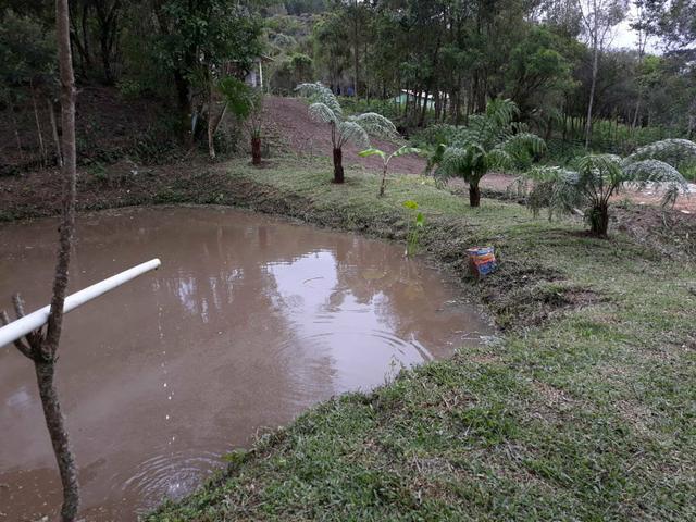 Chácara - Foto 5