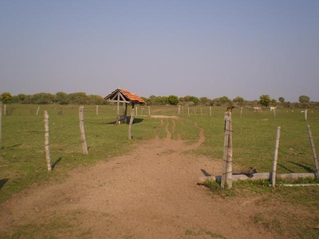 Fazenda na regiao de corumba, para arrendamento - Foto 5