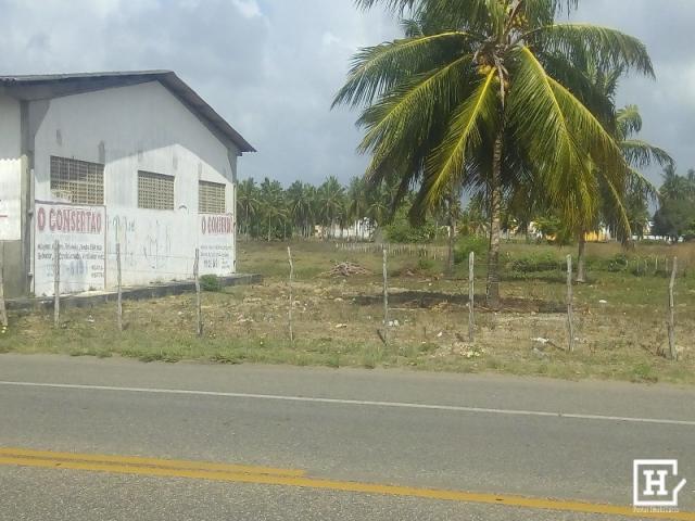 SÍTIO À VENDA - Areia Branca (Zona de Expansão) - Foto 7