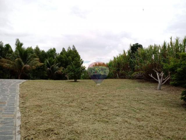 Chácara com 2 dormitórios à venda, 20000 m² por r$ 480.000 - insurreição - sairé/pe - Foto 7