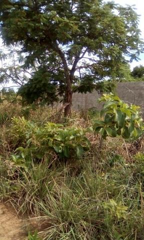 Troco Lote em Caldas Novas - GO - 1.000m2 - Foto 2