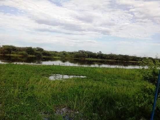 Maravilhosa fazenda com casa nova de 3/4, curral, tronco, embarcador, balança e aprisco - Foto 2