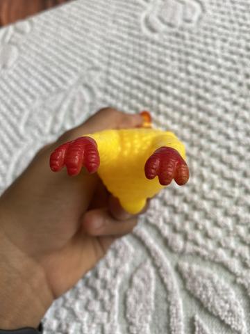 Frango gritador - Foto 5