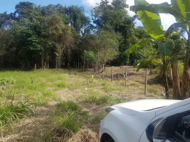 Terreno para formar Chácara - Foto 5