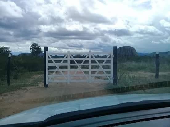 Maravilhosa fazenda com casa nova de 3/4, curral, tronco, embarcador, balança e aprisco - Foto 8