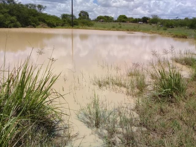 Excelente área de terra às margens da BR 116, com 614.196m - Foto 7