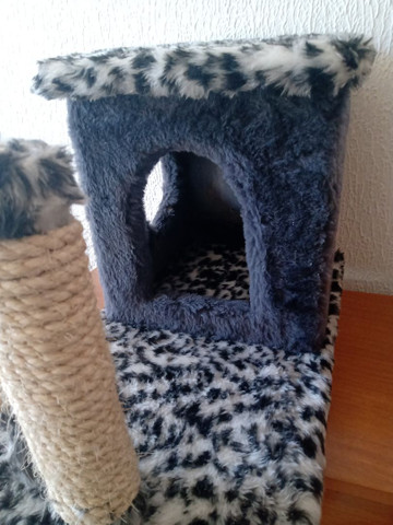 Casa de Gato nova - Foto 3