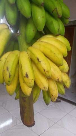 Banana maçã regional