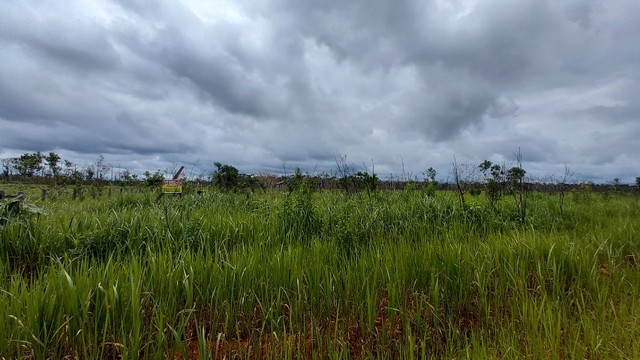 Vendo Ótimo Sítio, Super Barato a Apenas 82 KM de Porto Velho-RO - Foto 5