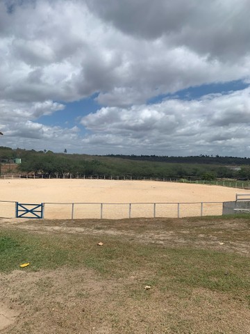 Lotes na Fazenda Real Macaiba - Foto 9