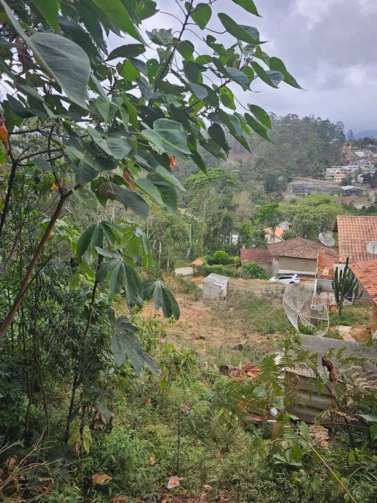 foto - Nova Friburgo - Bela Vista