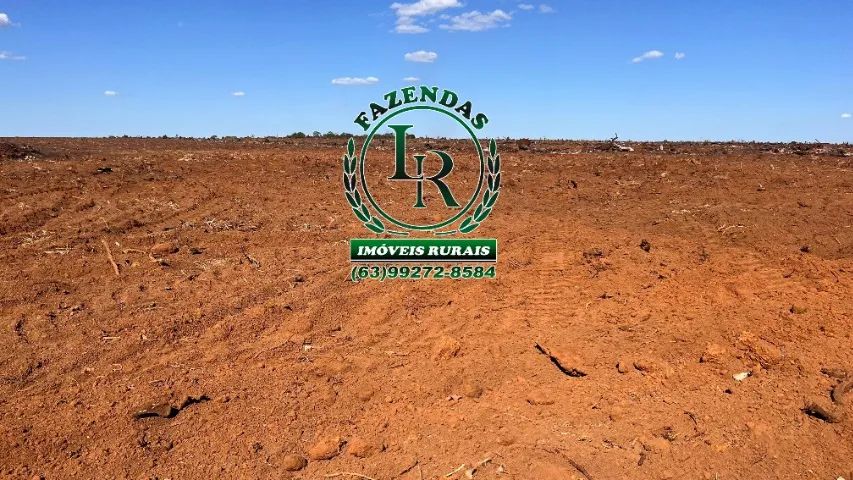 Fazenda 169 Alqueires, para Lavoura Pronta/Plantar - Foto 2