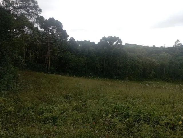 Chácara em agudos do Sul  - Foto 2