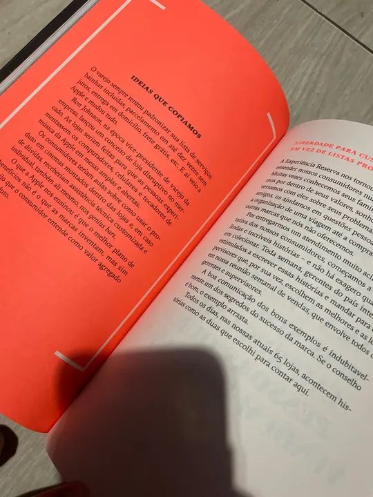 Rebeldes tem asas  - Foto 3