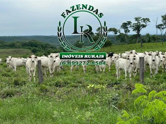 Fazenda 512 Alqueires Dupla Aptidão - Foto 5