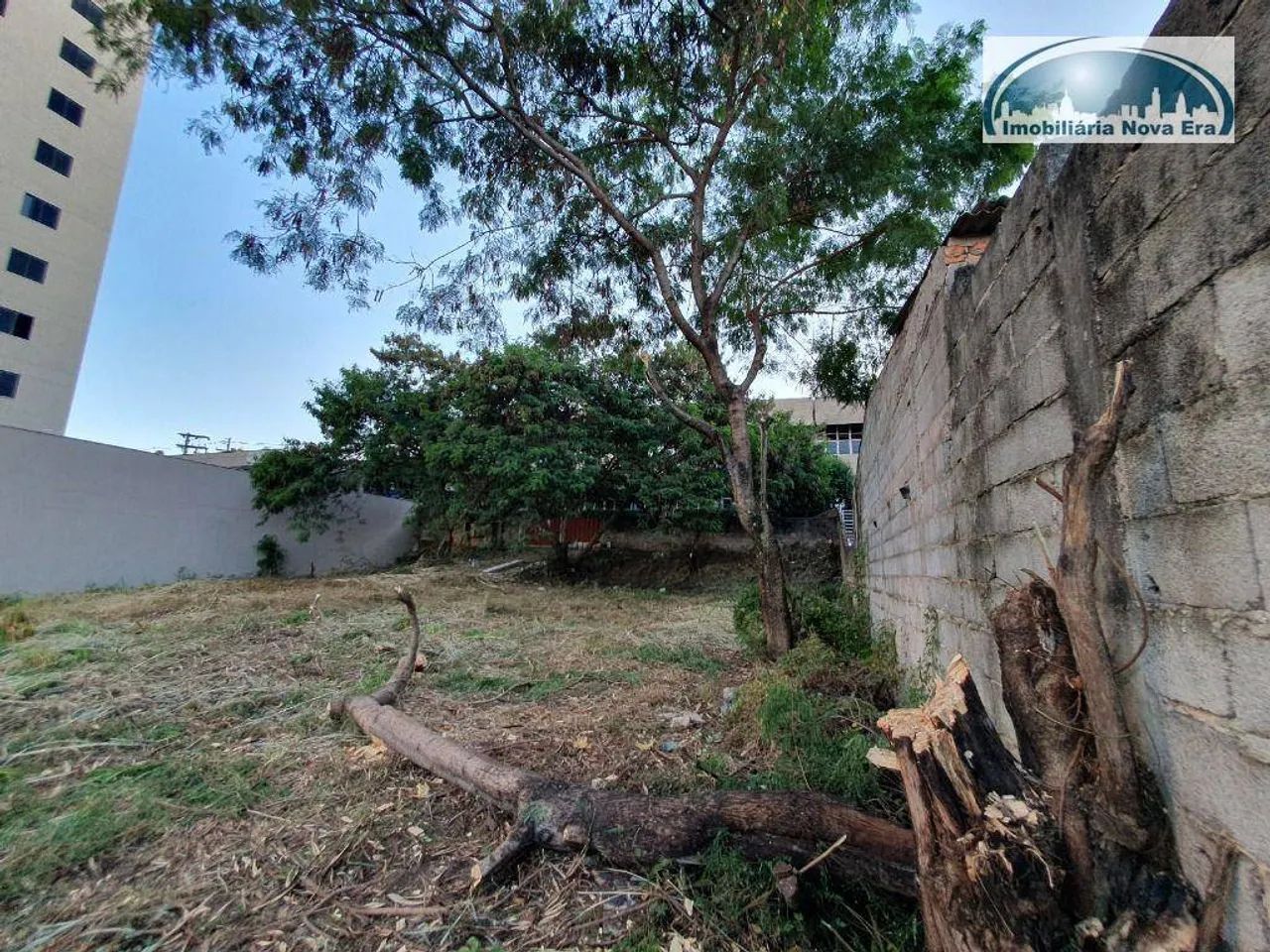 Área, 2000 m² - venda por R$ 6.500.000,00 ou aluguel por R$ 15.233,50/mês - Anhangabaú - J - Foto 2