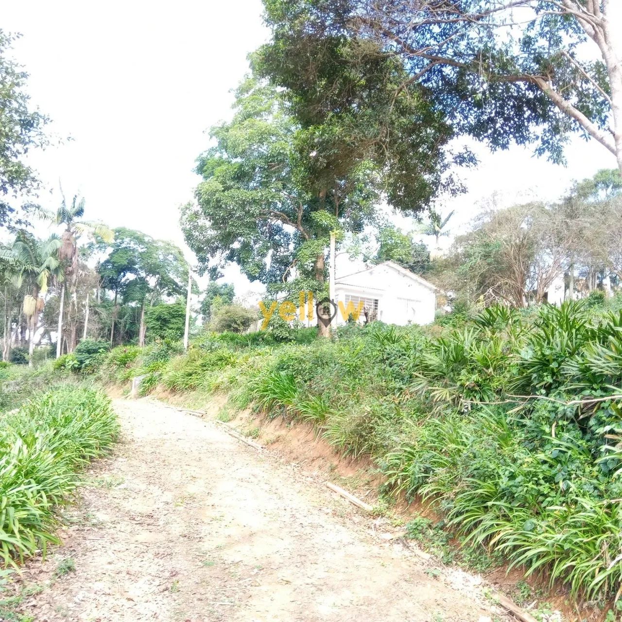 Chacara em Jardim Alto da Boa Vista - Suzano - Foto 4