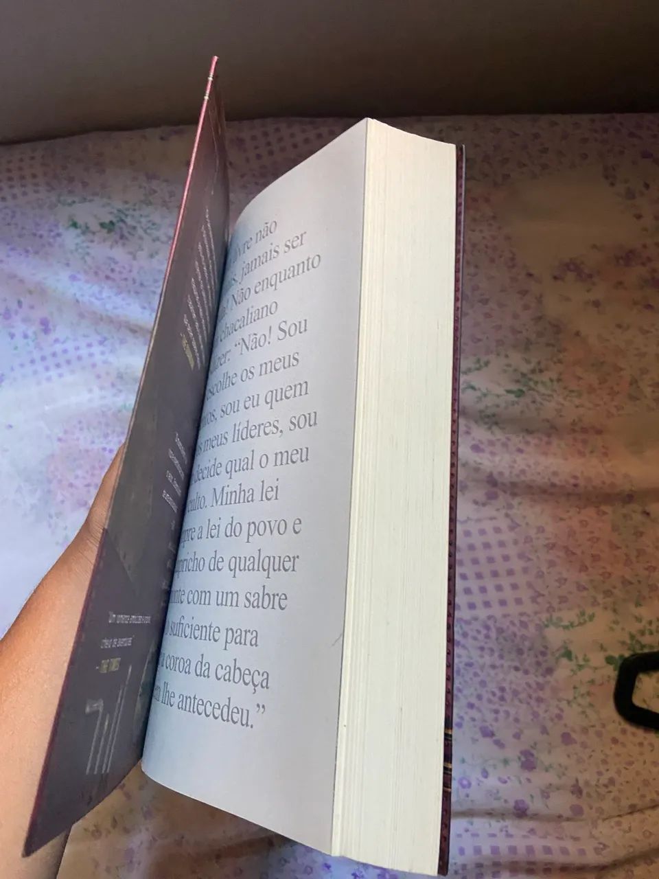 A Corte do Ar - Stephen Hunt - Foto 4