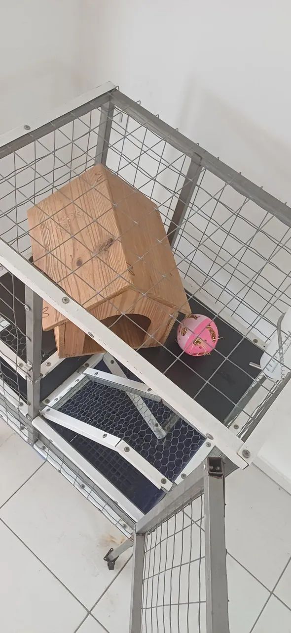 Gaiola Para Roedores  - Foto 2