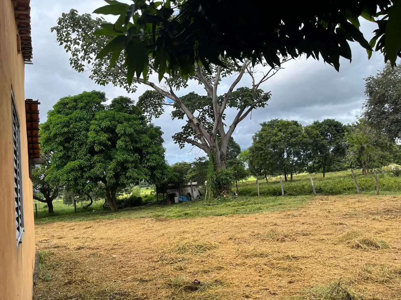 Vendo Sítio em Poconé 16 Hectares Casa Sede