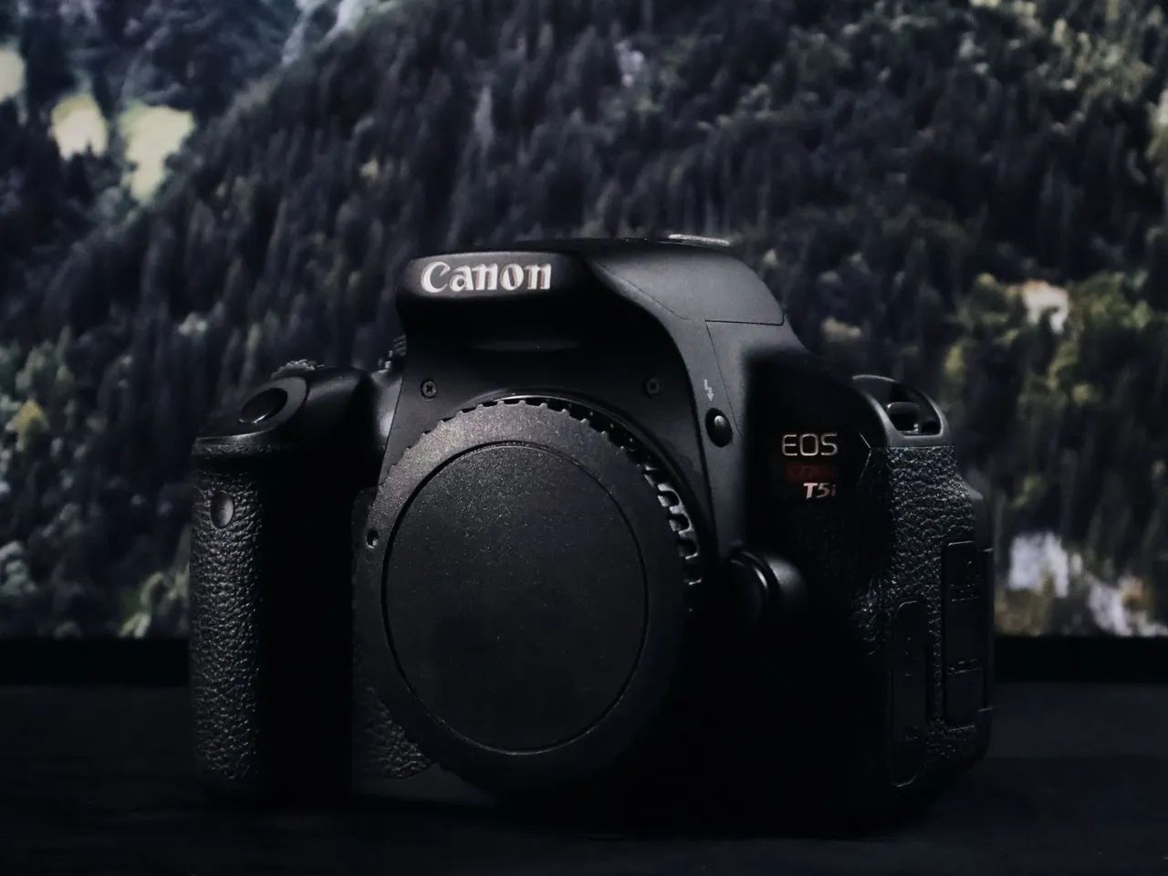 Canon T5i + Lente Canon 75-300mm - Ótimo custo benefício | NEGOCIÁVEL  - Foto 4