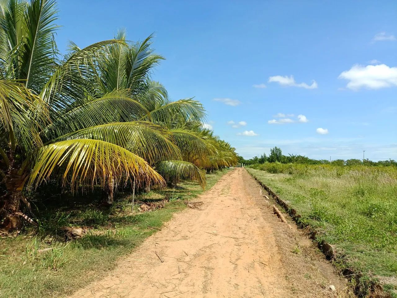 Propriedade geradora de renda comprovada Petrolina! - Foto 2