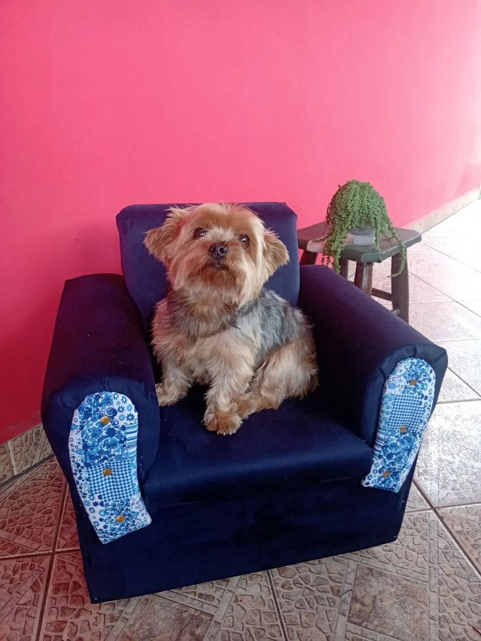Sofazinho para criança ou pet 