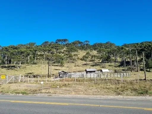 Terreno rural com 128 hectares em São Joaquim-SC