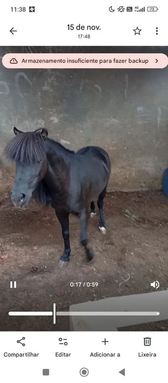 Vendo pônei  - Foto 3