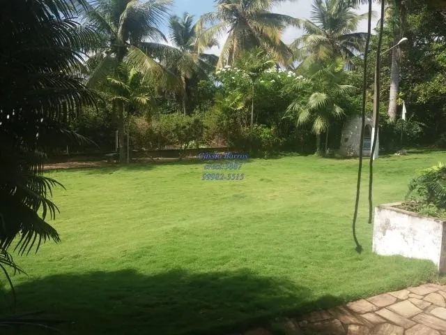 Granja em Pium - Foto 3