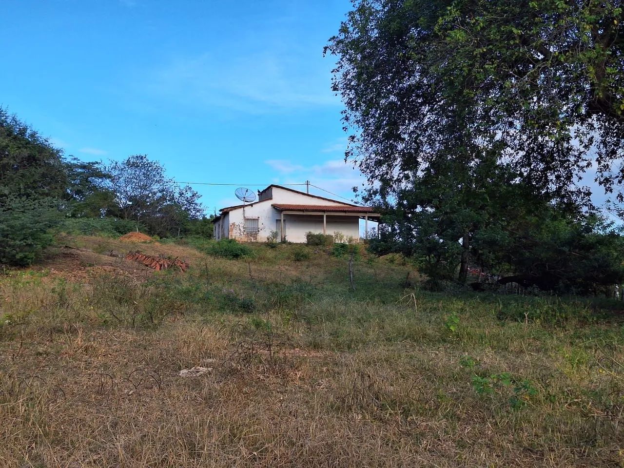 Fazenda Patarabia a venda - Foto 5