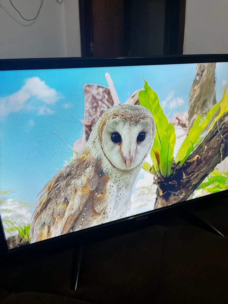 SmartTV 24? - Philco