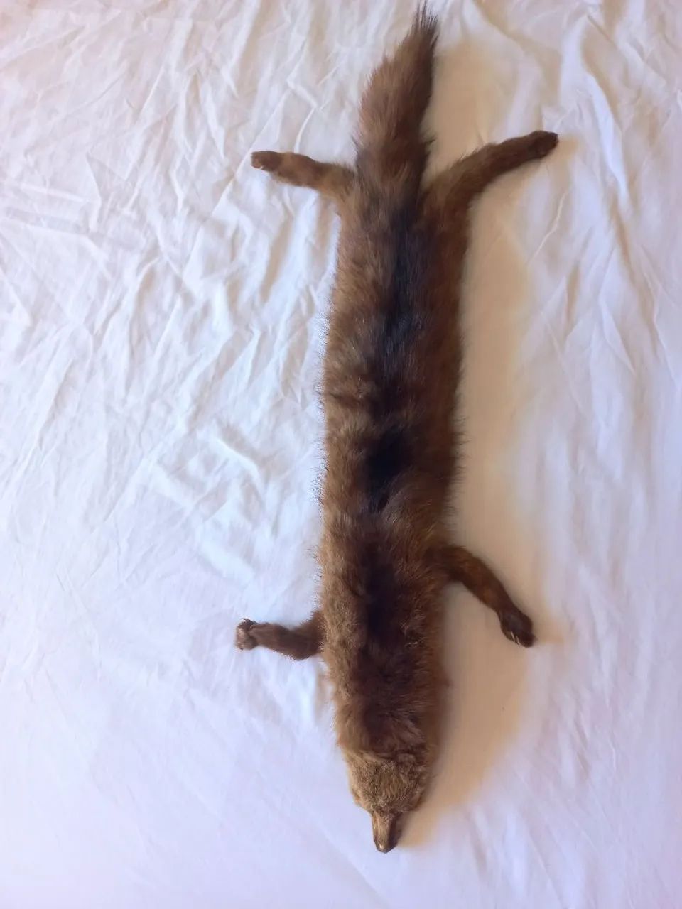 Estola de pele legitima  - Foto 4