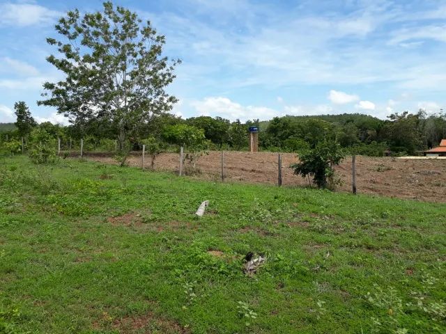 Chácara 24.200 m2  - Foto 3