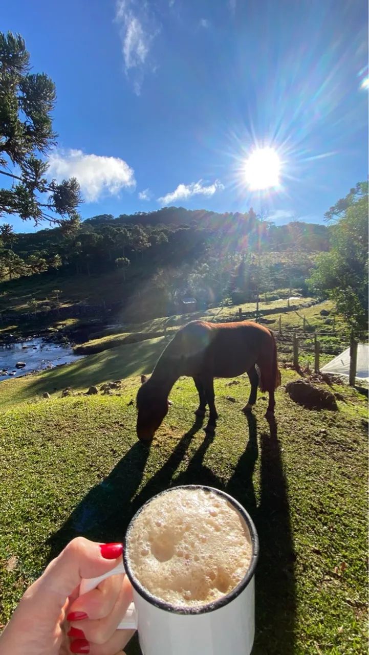 Cavalo petiço para crianças (pônei) - Foto 2